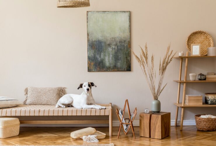 How Professional Painters Transform Home Décor