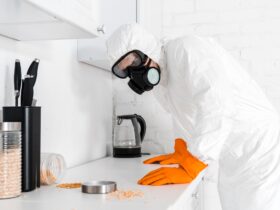 How a Professional Exterminator Can Reclaim Your Home