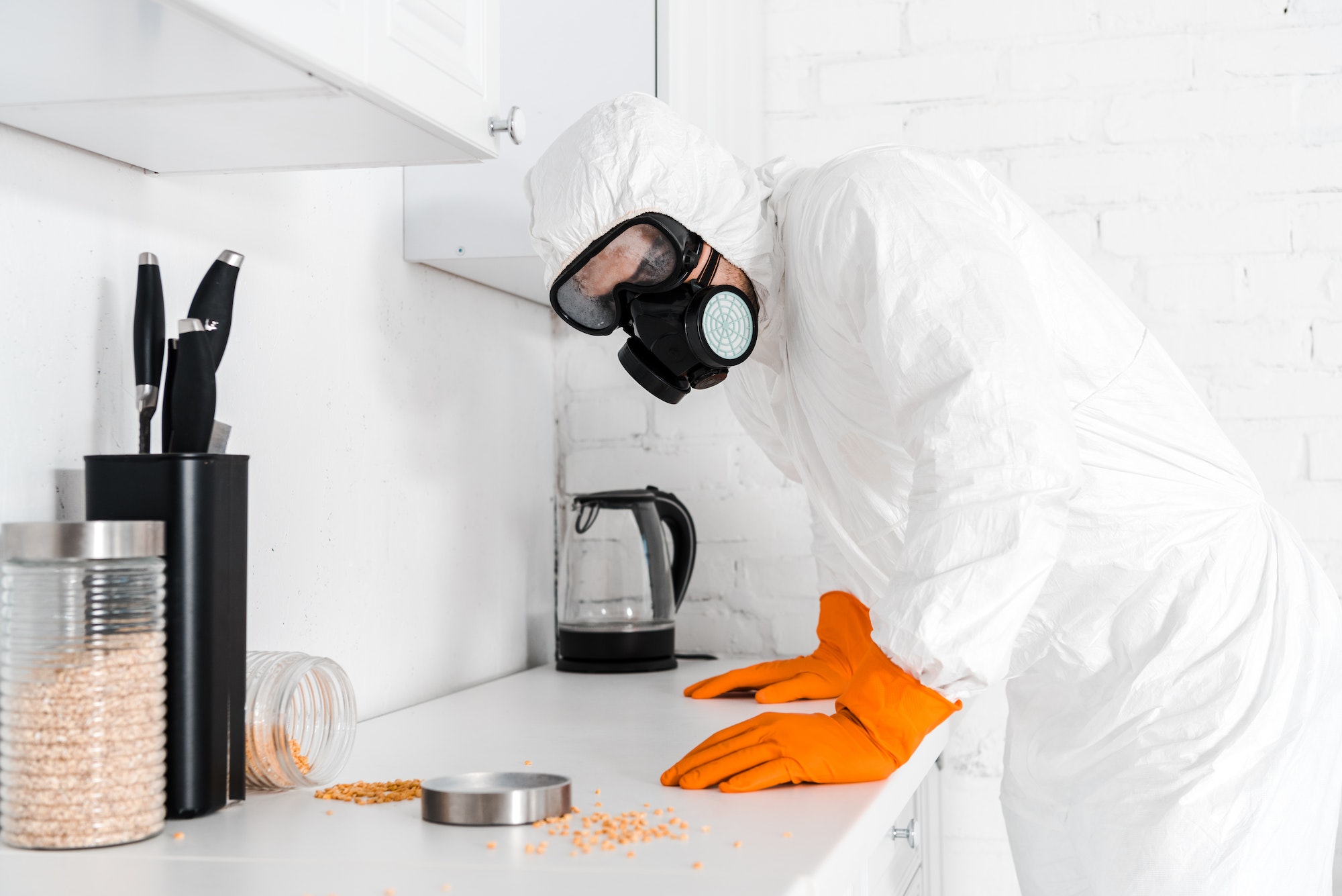 How a Professional Exterminator Can Reclaim Your Home