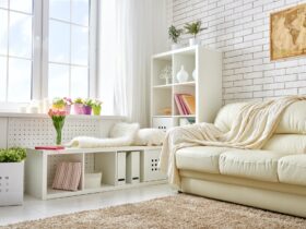 Pests Unveiled: Interior Design Strategies For A Pest-Free Future