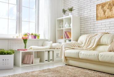 Pests Unveiled: Interior Design Strategies For A Pest-Free Future