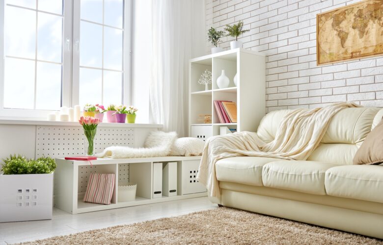 Pests Unveiled: Interior Design Strategies For A Pest-Free Future