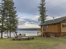 Updating Your Exterior Before the Summer Season