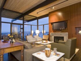 Contemporary House Renovation At Washington Park 2