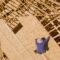 Carpenter with nailing plywood on roof of the house