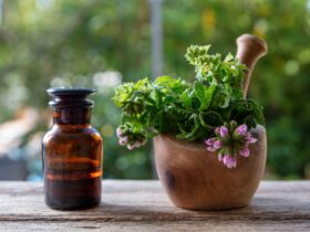 Citronella geranium essential oil on table, close up. Aromatherapy oil, mosquito repellent