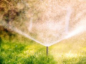 Close up details of automatic lawn pop-up sprinkler. Details of irrigation