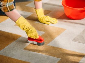 cropped image of woman cleaning carpet at home