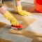 cropped image of woman cleaning carpet at home