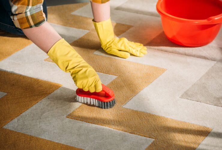 cropped image of woman cleaning carpet at home