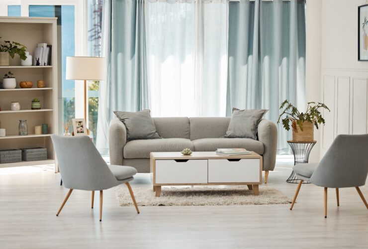 Home interior, luxury living room and modern house with sofa, chairs and plants in the room. Clean,