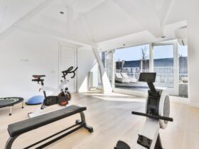 House training gym with exercising machines