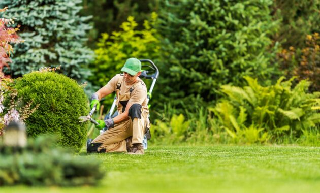 Landscape Gardening Professional Shaping Shrub