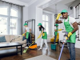Mixed race janitors doing spring cleaning of house