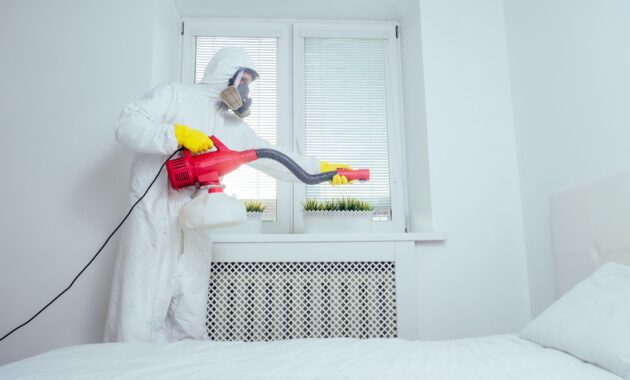 pest control worker lying on floor and spraying pesticides in bedroom