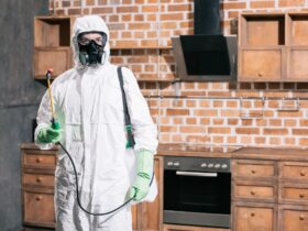 pest control worker standing with sprayer in kitchen