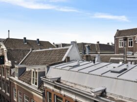 Roofs of European houses