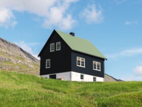 Simple house with green roof