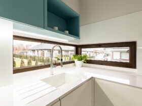 Sink and window