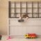 Young boy playing with his toys hiding in a storage bin