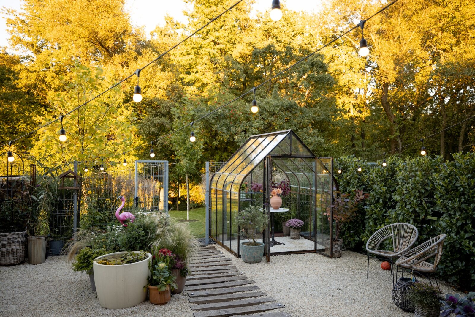 Garden with a hot house on nature