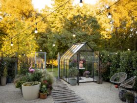 Garden with a hot house on nature