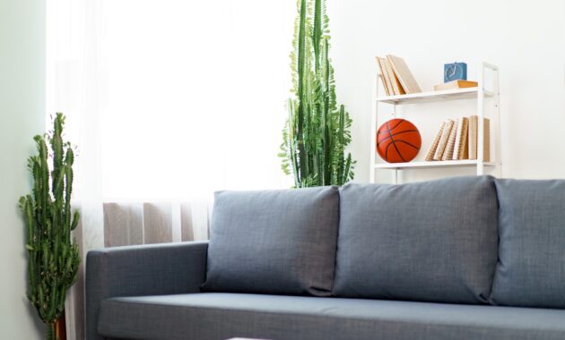 Grey Sofa In Modern Living Room With Plants And Ra 2021 12 09 12 49 21 Utc