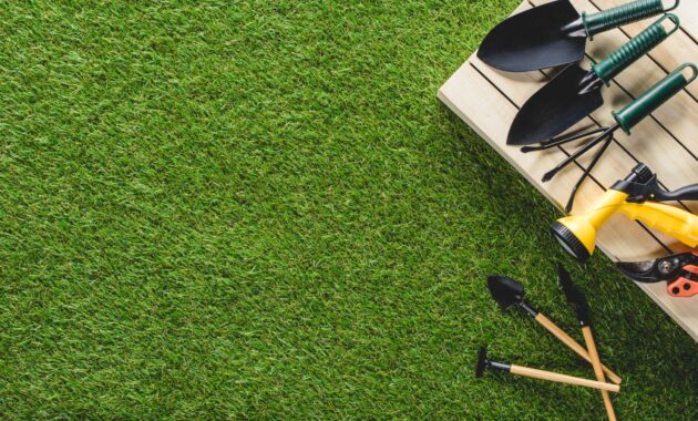 Top View Of Gardening Tools And Equipment On Grass 2022 12 16 18 30 35 Utc