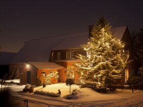 Winter House With Tall Christmas Tree At Night 2021 08 26 17 00 31 Utc