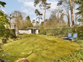 a backyard with a lawn and a small house