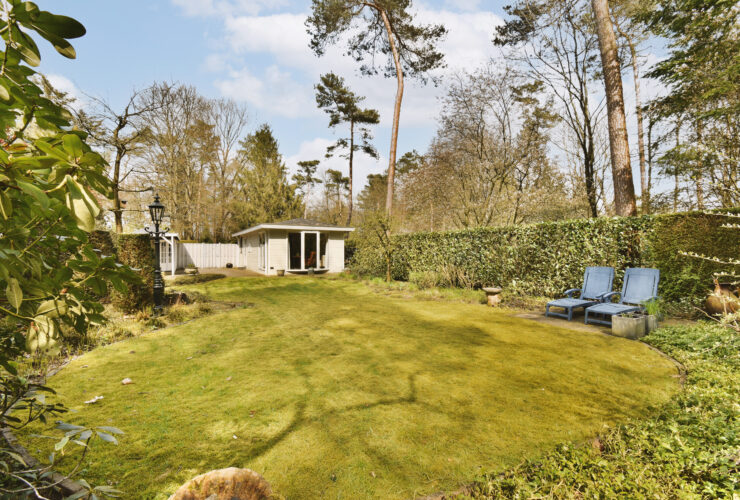 a backyard with a lawn and a small house