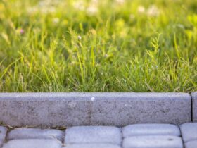 Closeup Of Pavement Curb With Green Grass Lawn Beh 2022 03 08 05 34 03 Utc
