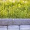 Closeup Of Pavement Curb With Green Grass Lawn Beh 2022 03 08 05 34 03 Utc