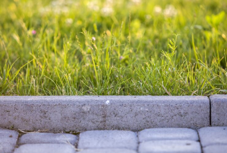 Closeup Of Pavement Curb With Green Grass Lawn Beh 2022 03 08 05 34 03 Utc
