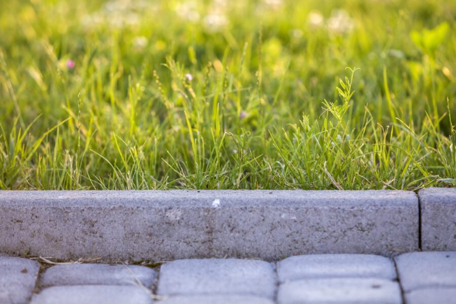 Closeup Of Pavement Curb With Green Grass Lawn Beh 2022 03 08 05 34 03 Utc