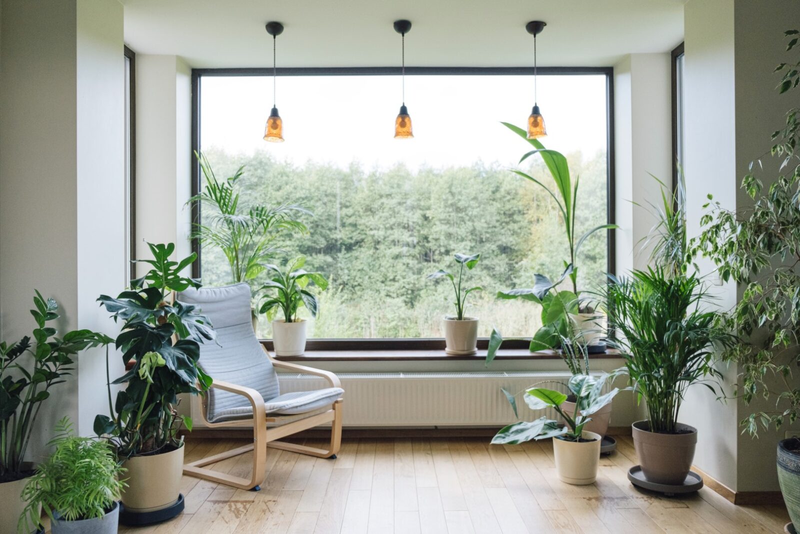 Modern Interior With Indoor Plants Monstera Palm 2023 04 20 18 43 47 Utc