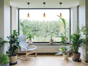 Modern Interior With Indoor Plants Monstera Palm 2023 04 20 18 43 47 Utc