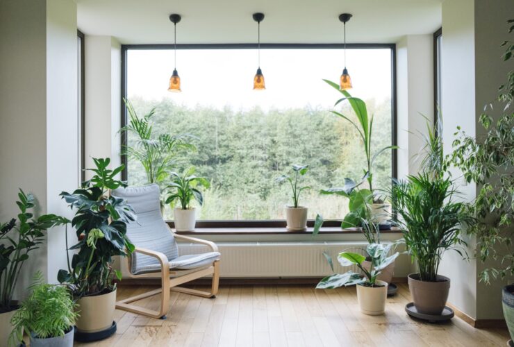 Modern Interior With Indoor Plants Monstera Palm 2023 04 20 18 43 47 Utc