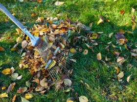 Old Red Rake In A Pile Of Fall Maple Leaves Rakin 2021 09 04 04 35 22 Utc