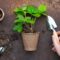 Organic Farming Concept Garden Tools And Plant 2021 08 26 20 00 46 Utc