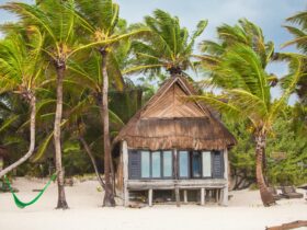 Tropical Beach House On Ocean Shore Among Palm Tre 2021 08 27 09 44 11 Utc