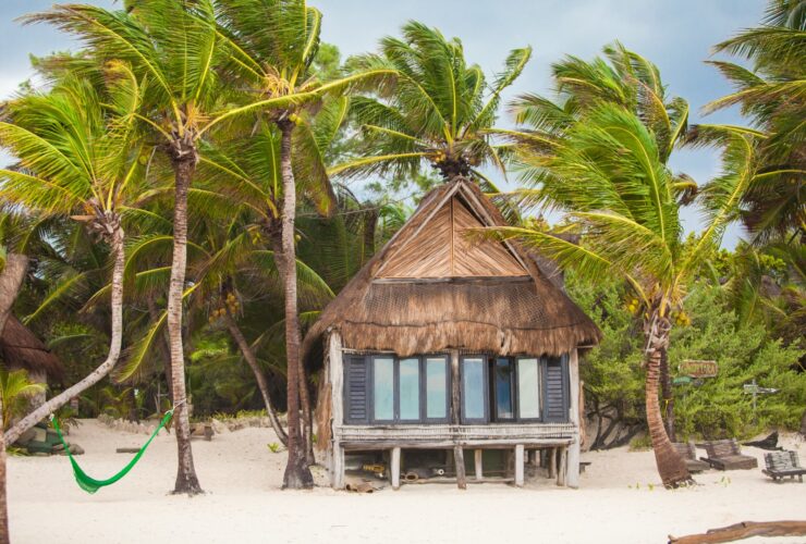 Tropical Beach House On Ocean Shore Among Palm Tre 2021 08 27 09 44 11 Utc