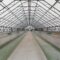 A Wide Aisle With Fodder Tables On The Sides For C 2022 11 18 18 45 39 Utc