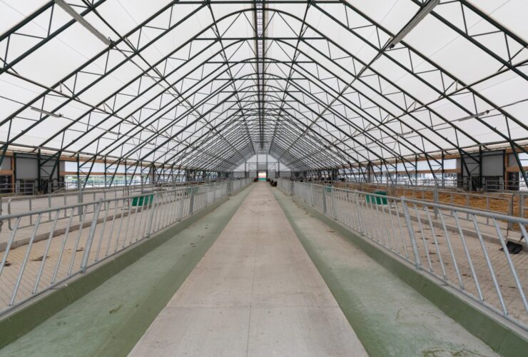 A Wide Aisle With Fodder Tables On The Sides For C 2022 11 18 18 45 39 Utc