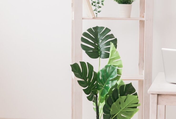 Collection Of Various Artificial Home Plants Home 2023 11 27 05 05 42 Utc