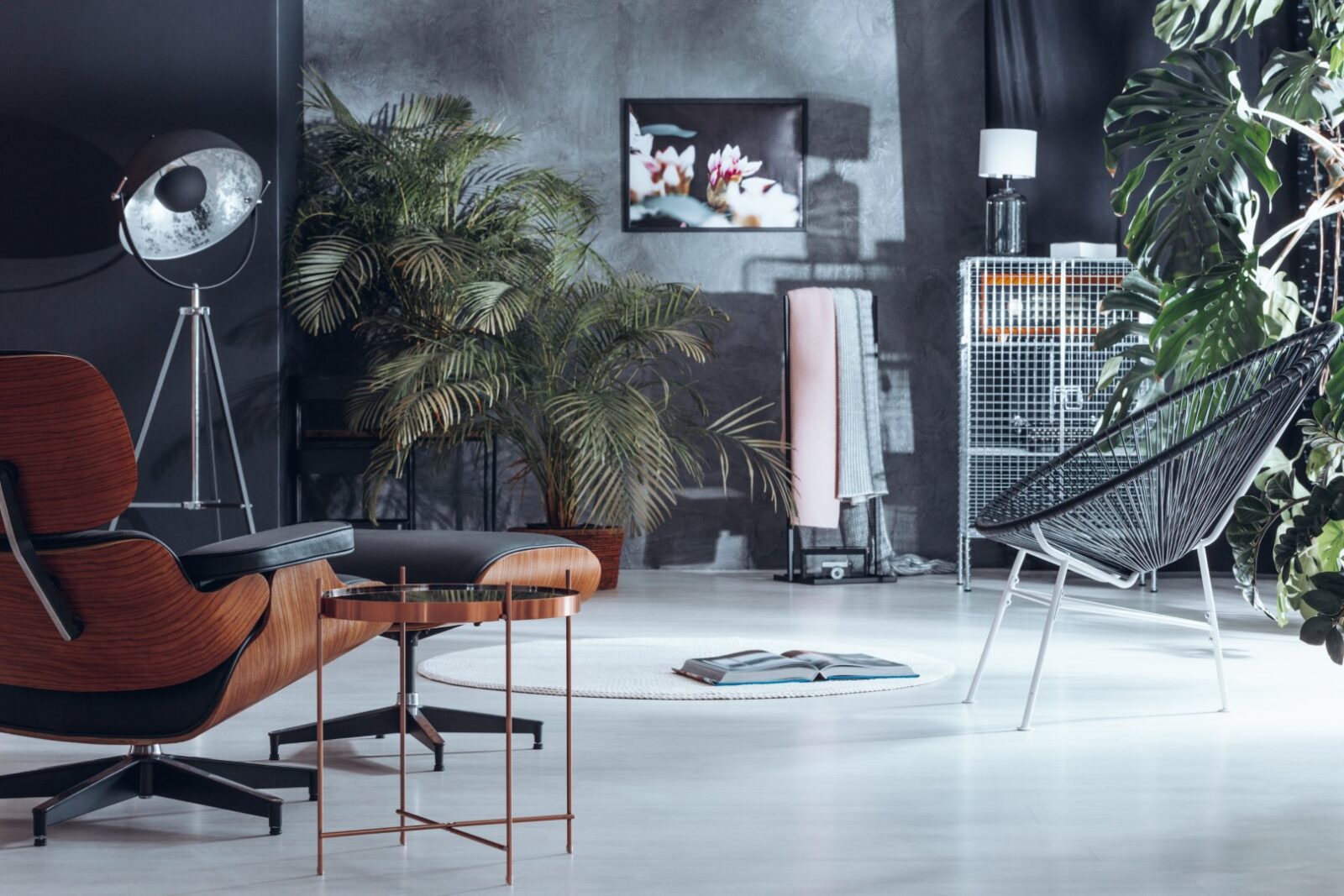 Living Room With Plant Decoration 2021 08 26 15 43 12 Utc