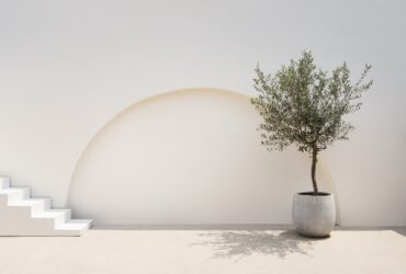 Mediterranean Minimal Wall And Plant Exterior Arch 2022 12 16 01 15 06 Utc