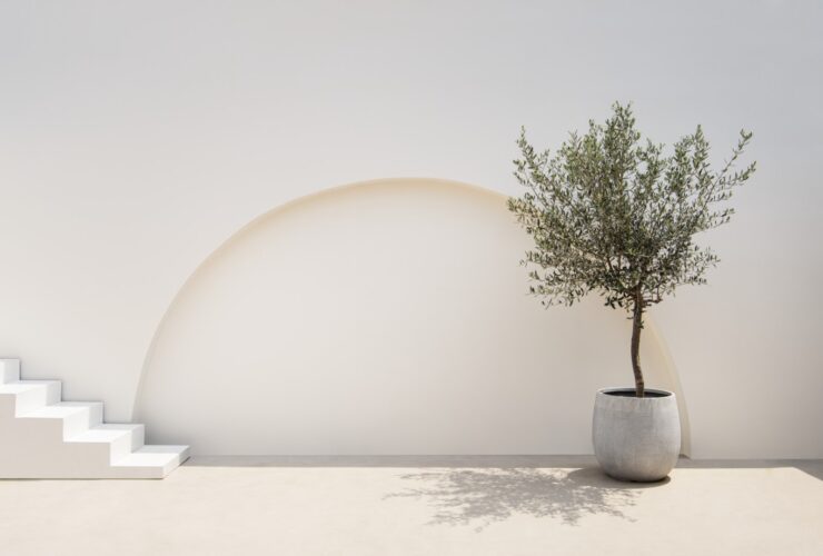 Mediterranean Minimal Wall And Plant Exterior Arch 2022 12 16 01 15 06 Utc