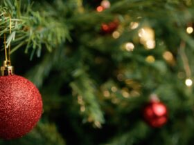 Red Ball Decorating A Chistmas Tree 2023 10 29 21 40 39 Utc