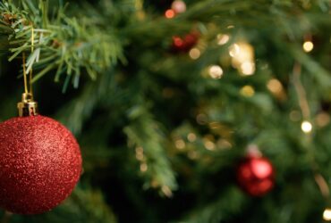 Red Ball Decorating A Chistmas Tree 2023 10 29 21 40 39 Utc